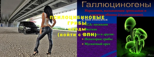 spice Рославль